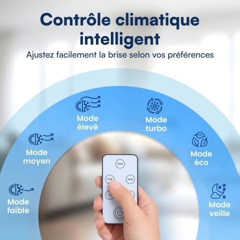 Contrôle climatique intelligent Coolizi avec télécommande